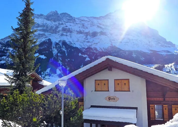 Apartamento Perle By Interhome Grindelwald